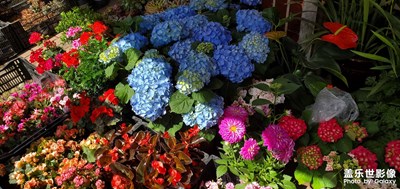 【分享美好】+美好的回憶