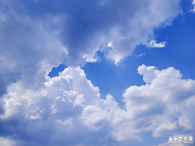 影子向玫瑰獻忱，落日與夕陽輕撫遲暮。