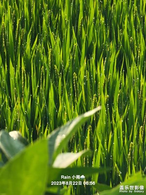 農(nóng)村生活攝影養(yǎng)成??5??