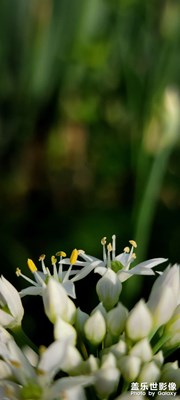 【最美初秋】+秋高氣爽