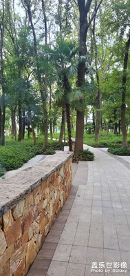 【隨處精彩】+ 日常拍攝