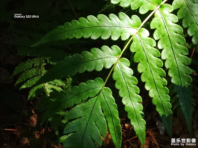 跟我去山里走走~
