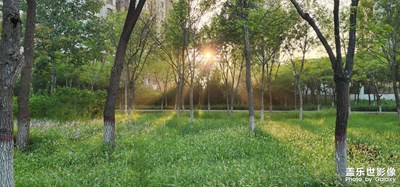 【最美初秋】+隨手拍風(fēng)景