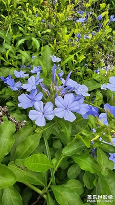 【隨處精彩】逛街去了