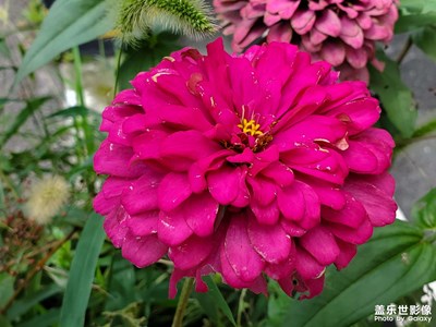 【隨處精彩】+ 花花世界