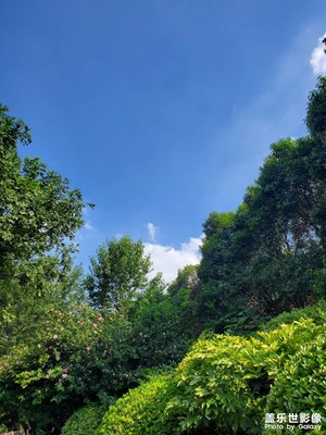 【隨處精彩】偷得浮生半日閑