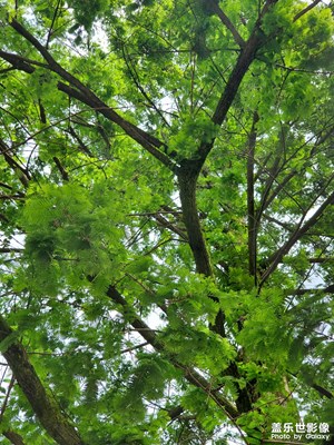 【隨處精彩】+ 閑暇時光