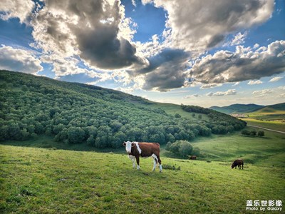 【再見(jiàn)夏天】+?情人谷