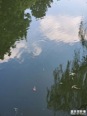 【最美初秋】秋水共長天一色