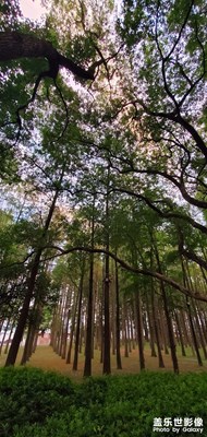 【再見夏天】+ 難忘的東湖風(fēng)景