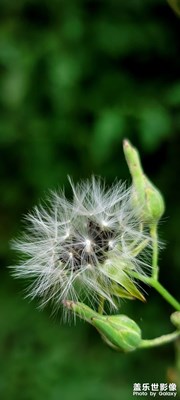 【最美初秋】+靜物