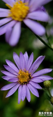 【最美初秋】+美景