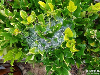 秋天的第一場雨