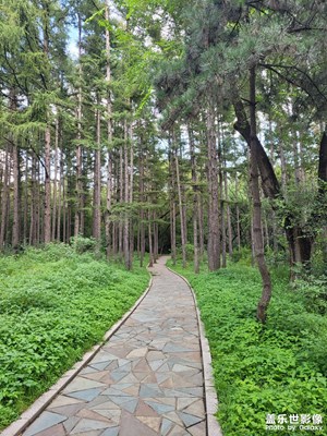 【最美初秋】+公園隨拍