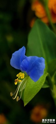 【隨處精彩】+景物