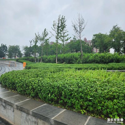【再見夏天】難得的清涼