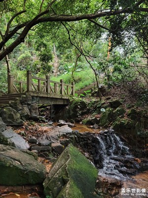 【最美初秋】深圳鳳凰山