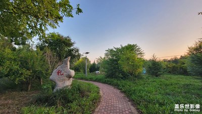 【最美初秋】+秋之戀