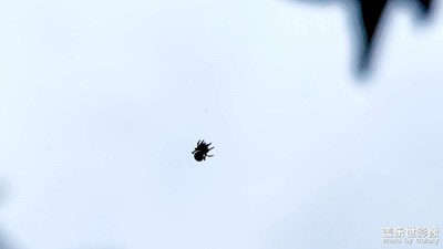 【最美初秋】+初秋的味道