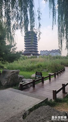 周末淄博趕烤