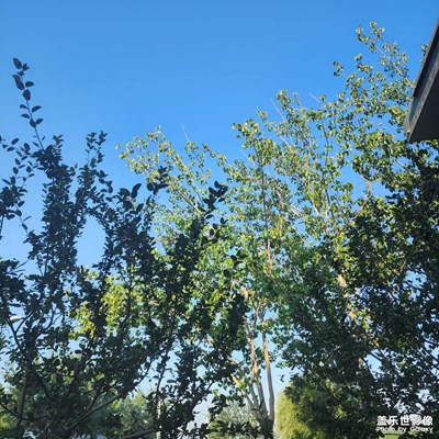 最美初秋 初秋隨拍