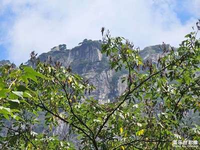 【最美初秋】爬山偶見(jiàn)