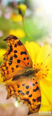 【最美初秋】+校園美景