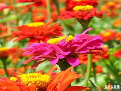 【城市名片】最美漢中