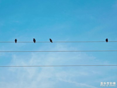 愚人創(chuàng)造了世界，智者不得不活在其中。