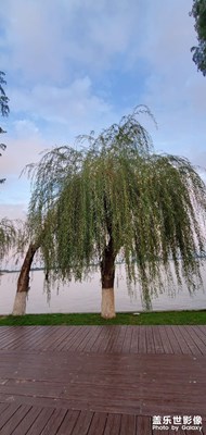 【光影之間】+山水之間