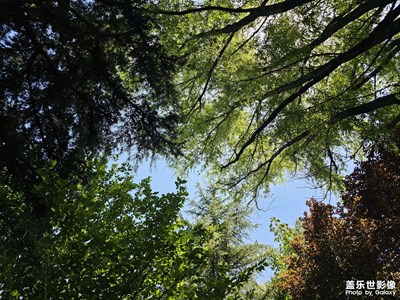 【光影之間】+夏日的記憶