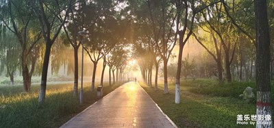 【光影之間】+邂逅晨光