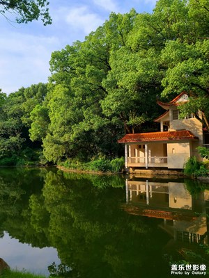 【光影之間】烈士山公園