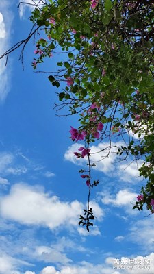 S10+那些年的那些照片