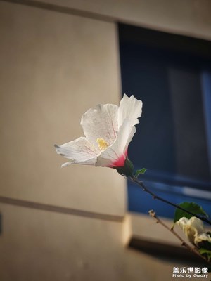 【光影之間】美景