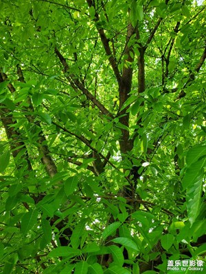 【光影之間】戶外時光