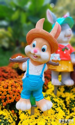 【雙節(jié)同慶】小兔慶雙節(jié)