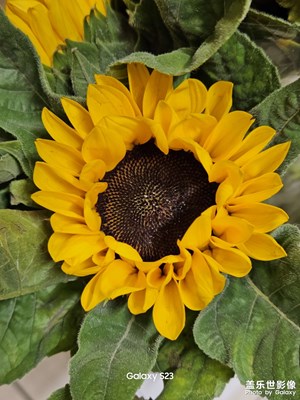 【雙節(jié)小長(zhǎng)假】旅途隨手拍