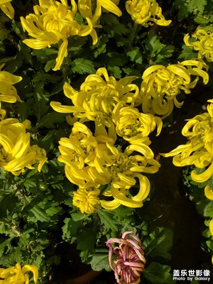 【雙節(jié)小長假】走在街上