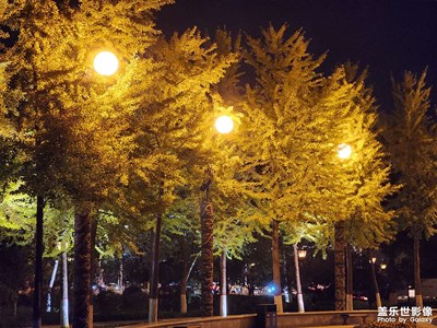 【雙節(jié)小長假】+我的假期生活