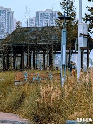 【雙節(jié)小長假】+草海灣濕地公園