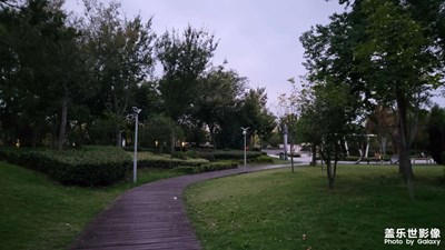 【雙節(jié)小長假】+逛公園