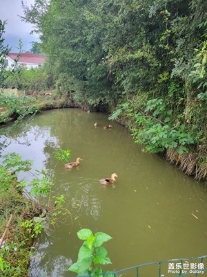 【雙節(jié)小長假】+團聚