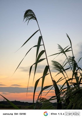 【雙節(jié)小長假】+隨拍夕陽