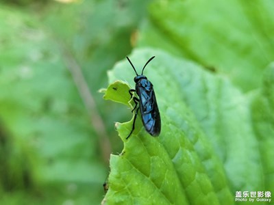 【雙節(jié)小長(zhǎng)假】+勤勞致富