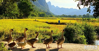 【別樣精彩】桂北風光