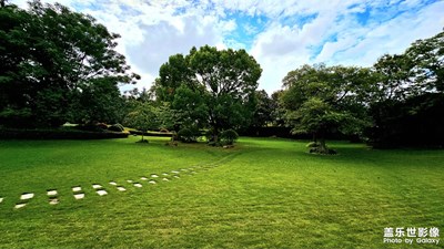 【雙節(jié)小長假】秋意濃