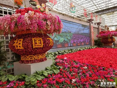 【雙節(jié)小長(zhǎng)假】花卉博覽會(huì)