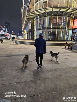 【雙節(jié)小長(zhǎng)假】寧波市區(qū)半日游