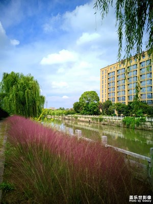 家門口的風景